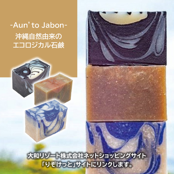 沖縄自然由来のエコロジカル石鹸